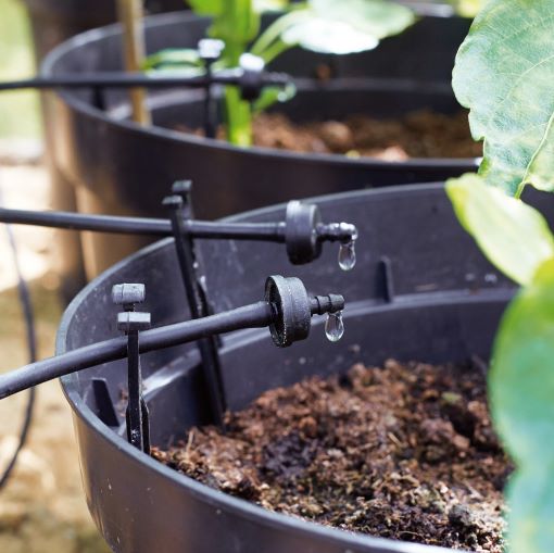 Unveiling the Top 5 Benefits of Drip Irrigation System
